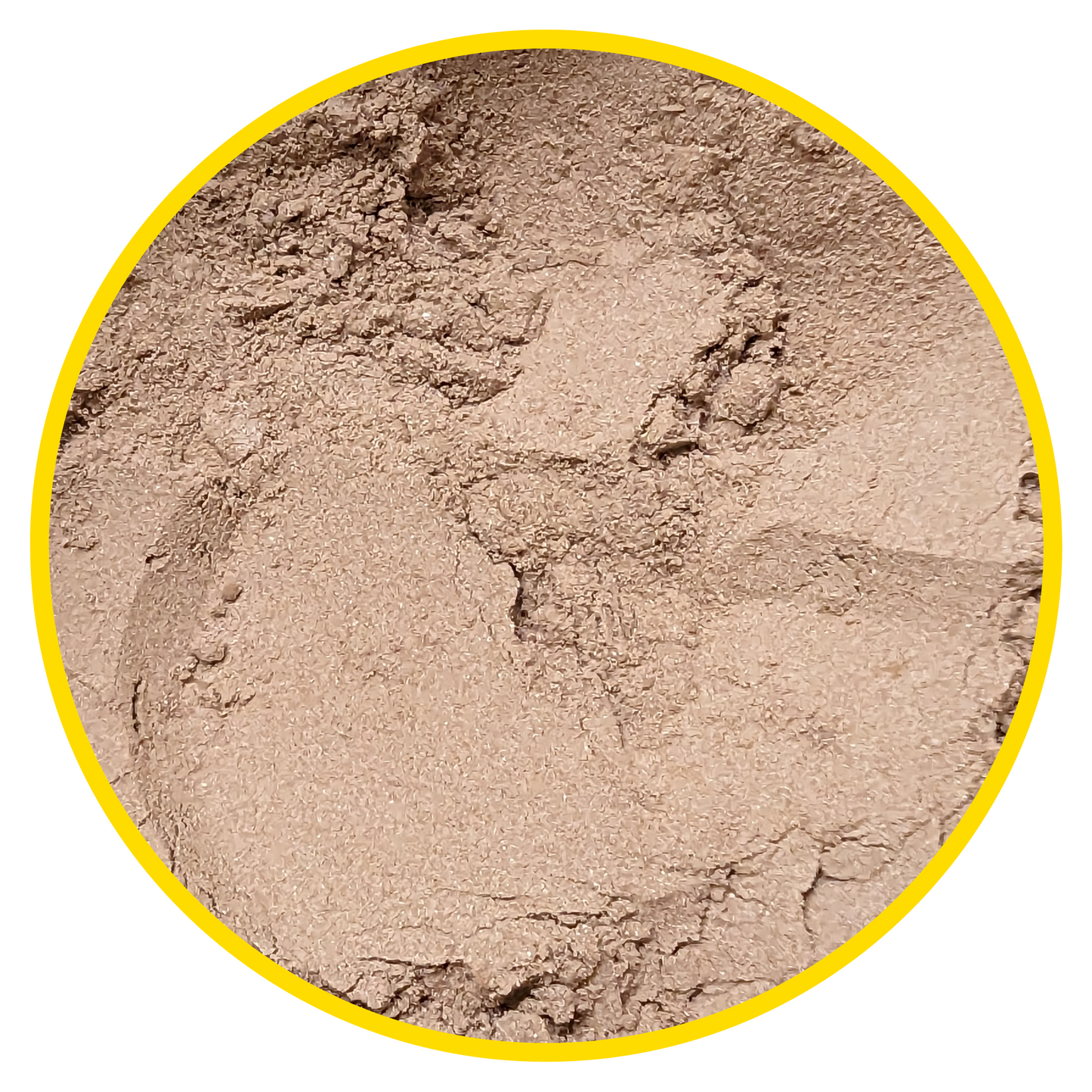 Litsea Dance Economy - For Dark Hair