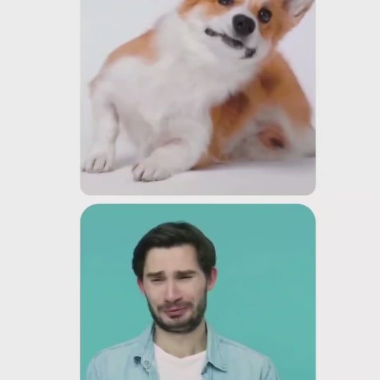 video about waterless Simply Sassy Frankincense Lavender Frolic waterless dog dry shampoo powder, container open showing powder, deodorizes and refreshes coat